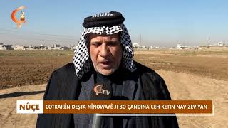 Nûçe Cotkarên Deşta Nînowayê Ji Bo Çandina Ceh Ketin Nav Zeviyan
