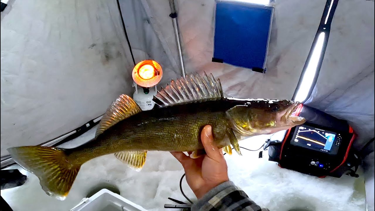 Pike, Walleye, Whitefish   again🙂