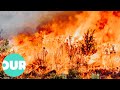 Fire Through The Ages (4K Nature Documentary) | Anatomy Of A Wildfire | Our World