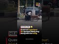 Queen Of Dogeshpur With Full Security Funny Comedy Love Shortvideo Share Comedy Comment Fu Queen Of Dogeshpur With Full Security Funny Comedy Love Shortvideo Share Comedy Comment Fu