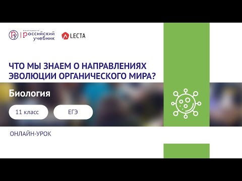 Что мы знаем