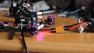Lizard 95 Motor 1 pinout test