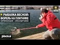 Рыбалка весной: форель на платнике. С. Балашов и А. Рыжов. Anglers Practical