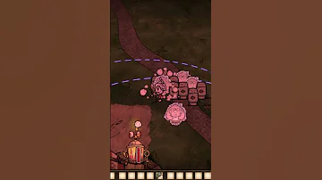ПЧЕЛИНАЯ МАТКА без УРОНА в Don't Starve Together  КАК УБИТЬ КОРОЛЕВУ ПЧЕЛ #shorts #youtubeshorts
