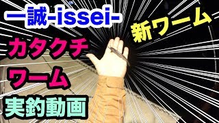 新発売の一誠-issei-カタクチワームの実釣動画！根魚やシーバスに持ってこい！