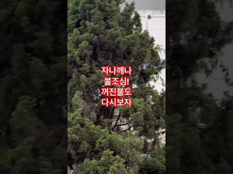미딩한인촌 빌딩화재! #하노이생활 #화재진압  다행이 조기진압된듯!