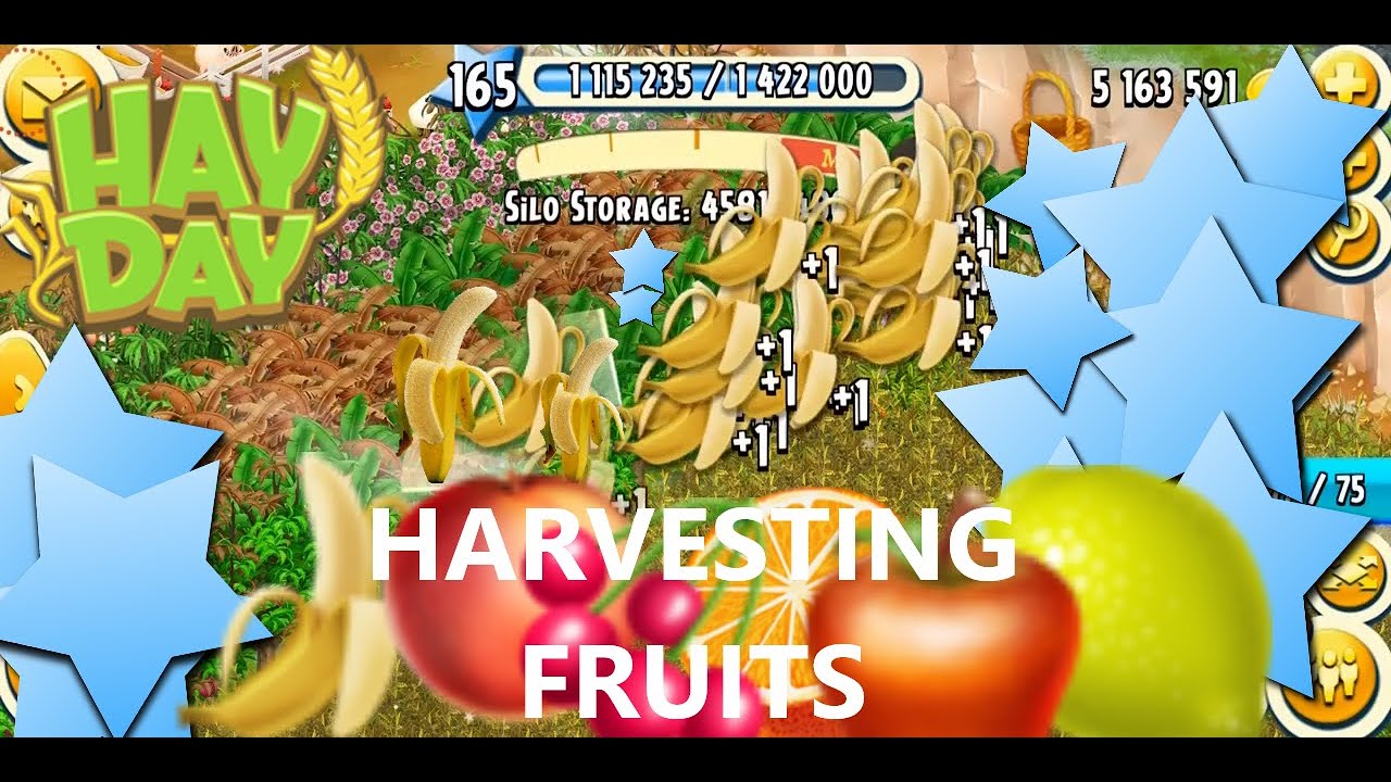 HAY DAY Harvesting Fruit Trees & Bushes With XP Booster! Making Xp