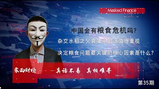 中国经济2020/ 中国会有粮食危机吗？杂交水稻之父袁隆平的话值得重视；决定粮食问题最关键因素是什么？(20200406第35期）@maskfinance447