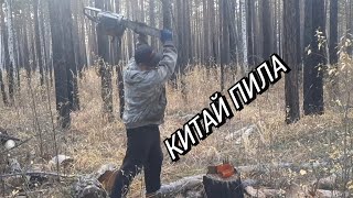 :     ZIMANI  !!!