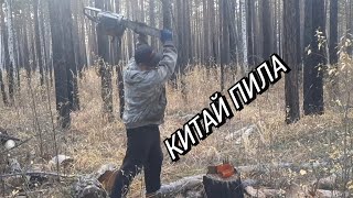 ПИЛИЛИ КИТАЙСКОЙ ПИЛОЙ ZIMANI БОЛЬШОЙ ЛИСТВЯК!!!