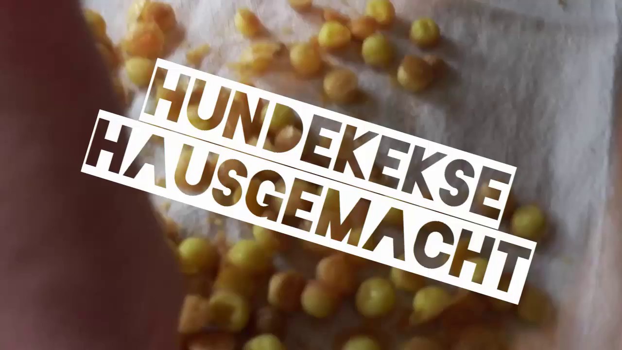 Hundekekse hausgemacht | Claudia im Backwahn