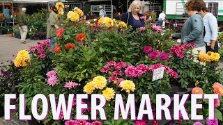 Plantenmarkt Flower Market on the Amstelveld Amsterdam