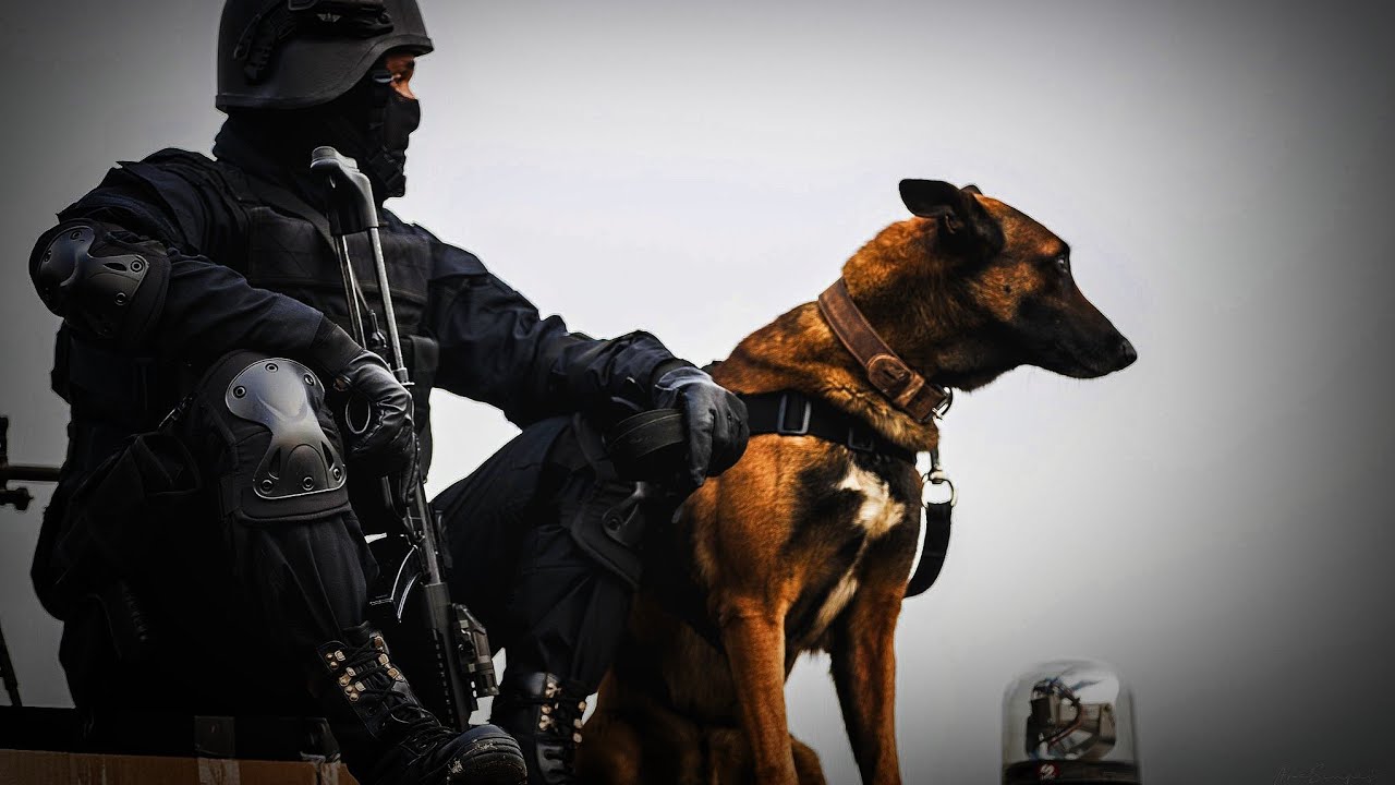 [ NSG ] National Security Guard and 🥷 Black Cat Commando Status ....