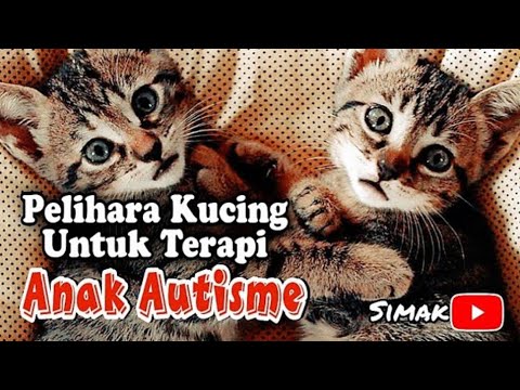 PELIHARA KUCING UNTUK TERAPI ANAK AUTISME