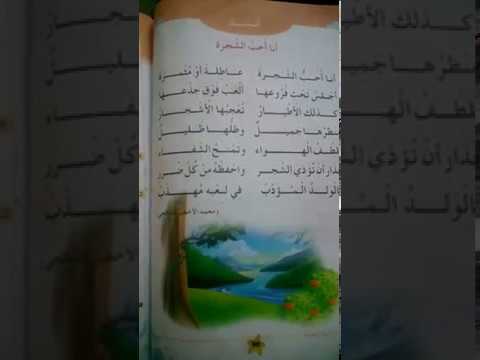 انشودة انا احب الشجرة اولي ابتدائي االجيل الثاني