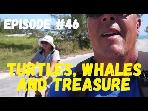 Turtles, Whales and Treasure, Wind over Water, Episode #46