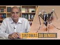 Sintomas da dengue | Coluna #52