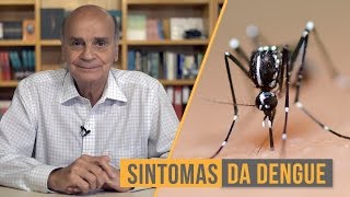 Sintomas da dengue | Coluna #52