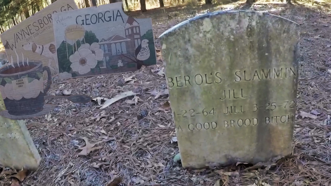 Buried With 120 Dogs in The Bird Dog Capital Of the World YouTube