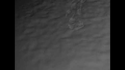 Strange prints appear after sudden wind gusts (Far left middle of screen)