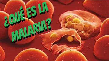 ¿Qué es la enfermedad de la malaria?