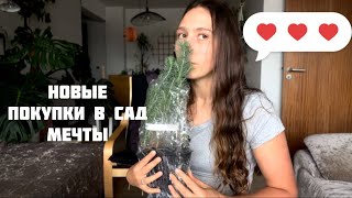 видео: Шопоголизм/Как остановиться покупать растения?/Новые покупки для сада мечты картинка: Шопоголизм/Как остановиться покупать растения?/Новые покупки для сада мечты