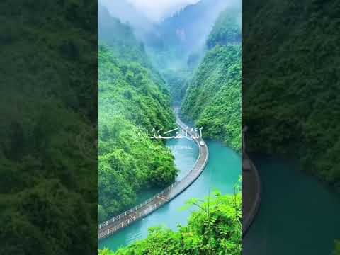 ماهر المعيقلي سورة الاخلاص قل هو الله احد 