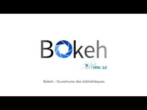 Vidéo: Qu'est-ce que la bibliothèque bokeh ?