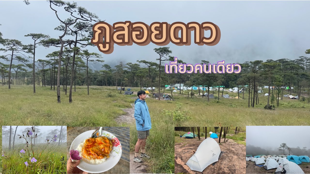 ภูสอยดาว : เที่ยวคนเดียว 3วัน2คืน Reels Reels EP.3