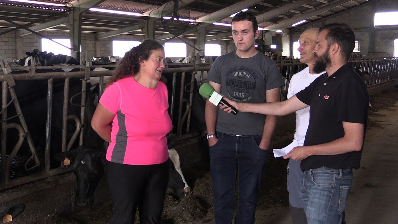 Entrevista ganadería 'Casa Manolín' / El Campo de Asturias