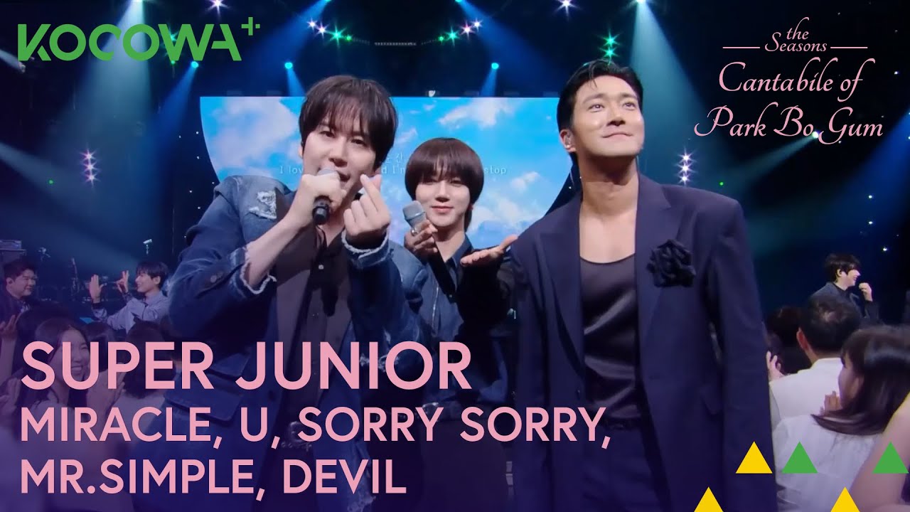 SUPER JUNIOR Mr.Simple B版  新品（台湾版）正規品 廃盤 SUPER JUNIOR Mr.simple ヒチョル 韓国盤 LPサイズ - メルカリ