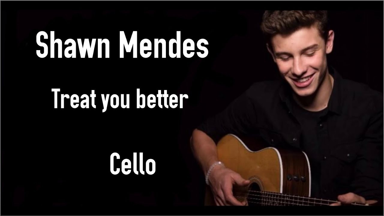 Shawn Mendes Karaoke Treat You Better