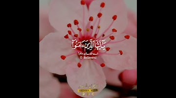 محمد ﷺ 🌷 سورة الأحزاب:٥٦|محمد طه الجنيد|Surah Al Ahzaab:56|Mohamed TaHa alJunaid