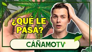 The Ultimate Guide to Deficiencies 🌿How to Read Your Plant Leaves l💡 Mars Hydro