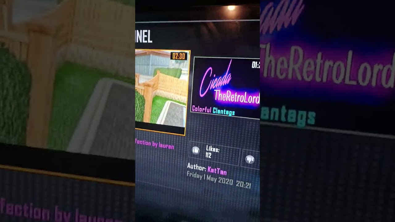 some bo2 clip infections you see are FAKE