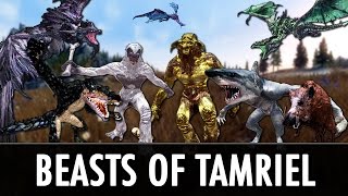 Skyrim Mods: Beasts of Tamriel & Diverse Dragons Collection 2.0