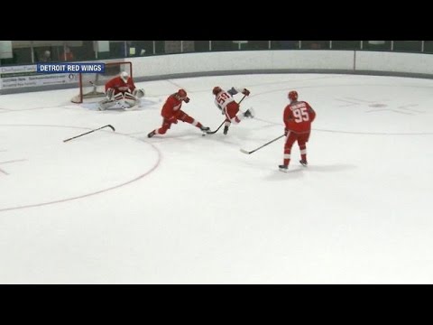 Download Tyler Bertuzzi in action with the Detroit Red Wings