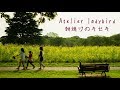 朝焼けのキセキ - Atelier ladybird feat.すぎやま