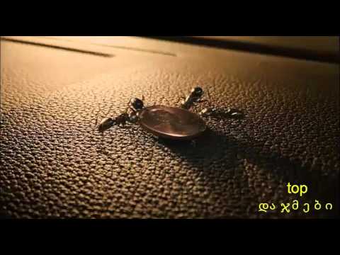 ქართული გახმოვანება  qartli gaxmovaneba