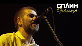 Сплин - Оркестр [Live]