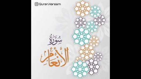 القارئ سعد الغامدي_سورة الأنعام_من أية 95 الى أية 97