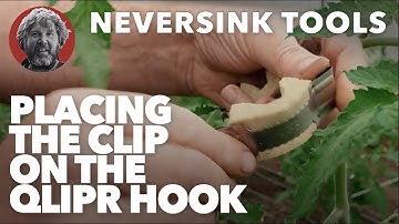 Placing the clip on the Qlipr Hook
