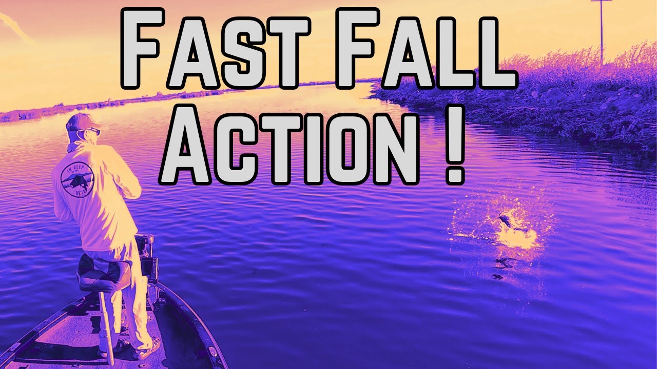Exciting Fall Bass Fishing Action.
