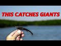 This Lure Catches Giants! Insane Day Inshore Fishing