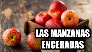 La Cera De Las Manzanas Nos Hace Daño? Hdehistoria