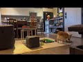 Morning routine (catch the ball or whatever) 🐾