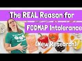 The real reason for fodmap intolerance new research