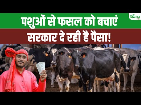 खेतों की सुरक्षा के लिए सरकार दे रही है ₹150 मीटर सब्सिडी | Fencing Yojana 2025 में ऐसे करें आवेदन