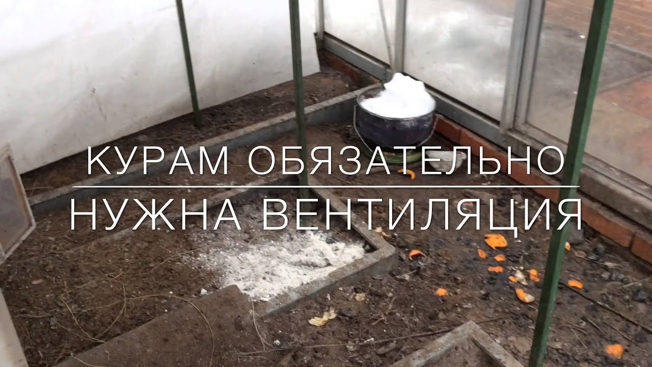 Содержание кур несушек зимой