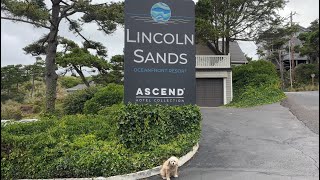 Dog Friendly Hotel Review - Lincoln Sands Oceanfront Resort Lincoln City Oregon